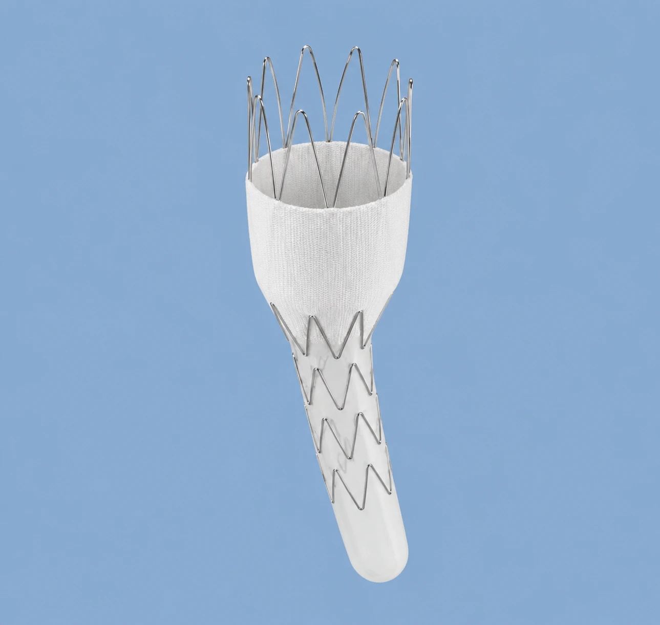 Sten đặt hẹp eo ĐMC các loại (Bare, Covered Stent, ĐMC bụng, chậu)